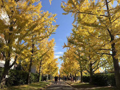 岡山大学
