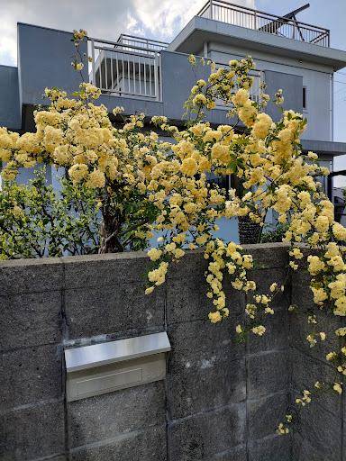 宮田内科消化器科