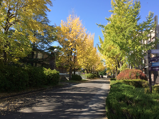 山梨大学 甲府キャンパス