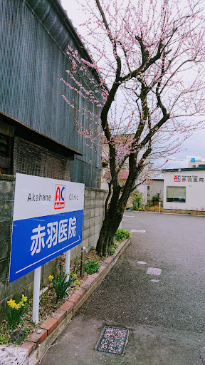赤羽医院