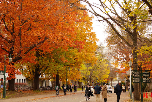 北海道大学