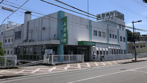 丹羽病院