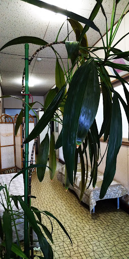 松本医院